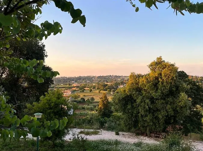 Il Trullo Di Simona Bed & Breakfast